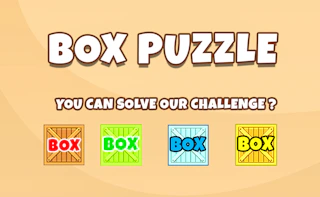 Box Puzzle