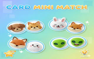Card Mini Match