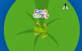 Catch the Fly