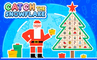 Catch the Snowflake