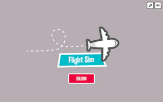 Flight Sim Pro