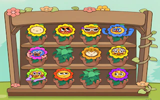Flower Collection