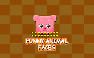 Funny Animal Faces