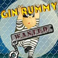 Gin Rummy