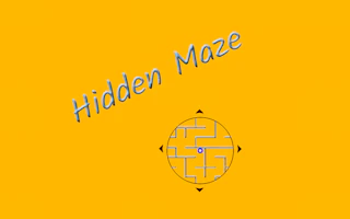 Hidden Maze