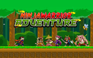 Ninja Warrior Adventure