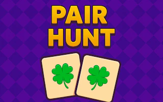 Pair Hunt
