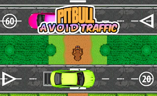 Pit Bull Avoid Traffic