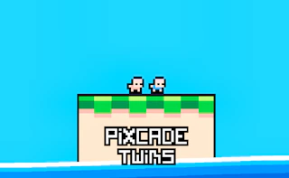 Pixcade Twins