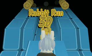 Rabbit Run 3D