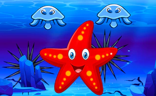 Survival Starfish